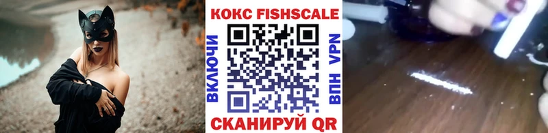 Cocaine FishScale  Котовск 