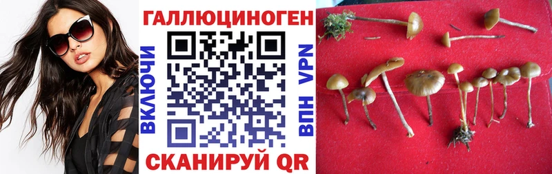 Псилоцибиновые грибы Magic Shrooms  Котовск 