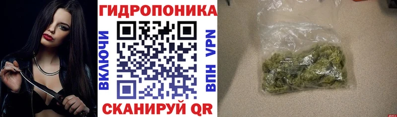 Бошки Шишки семена  купить наркоту  Котовск 